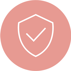 security icon